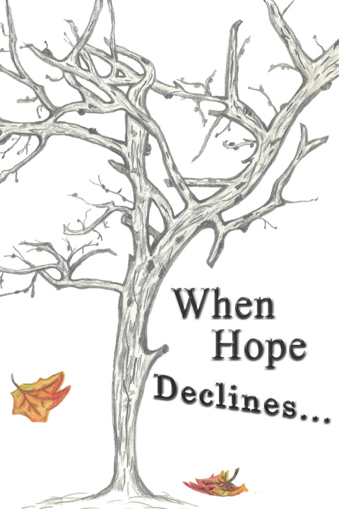 Kniha When Hope Declines T.L. McBride