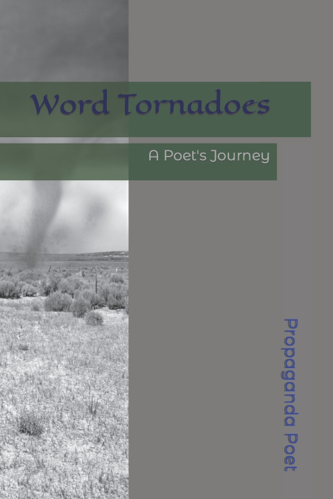 Kniha Word Tornadoes Propaganda Poet