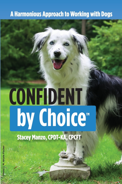 Kniha Confident by Choice Stacey M. Manzo