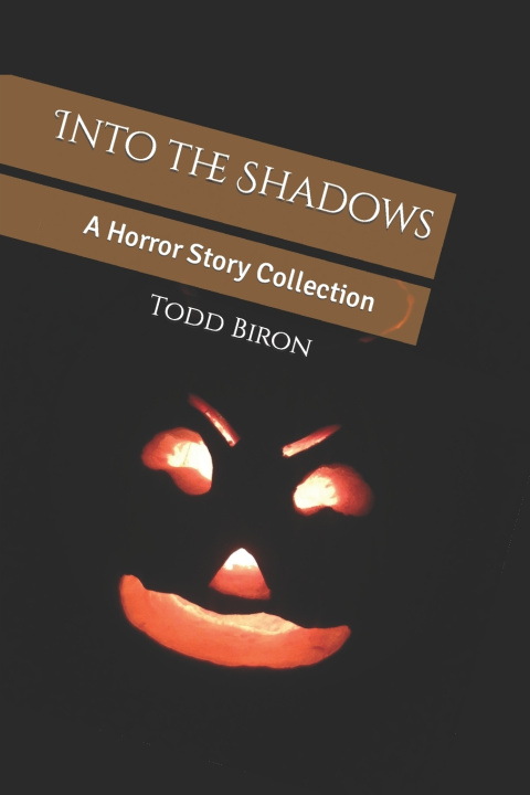 Kniha Into the Shadows Todd A Biron