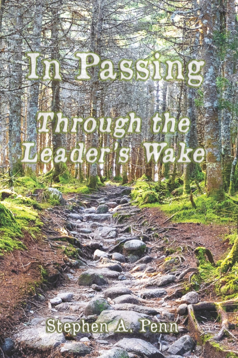 Knjiga In Passing Stephen Penn