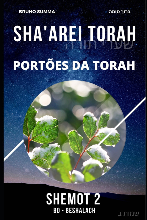 Knjiga SHA'AREI TORAH Bruno Summa