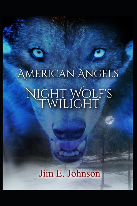Kniha American Angels Jim E Johnson