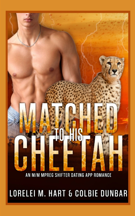 Kniha Matched To His Cheetah Colbie Dunbar