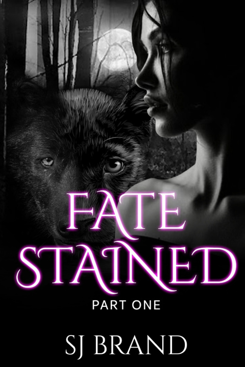 Kniha Fate Stained - Part One SJ Brand
