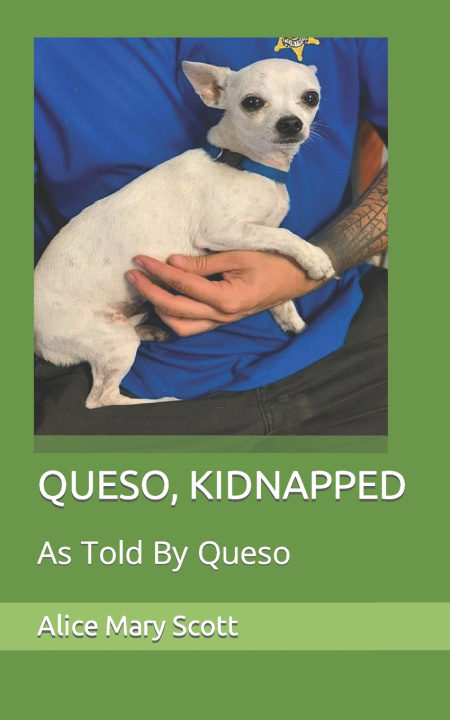 Kniha QUESO, KIDNAPPED Alice Mary Scott
