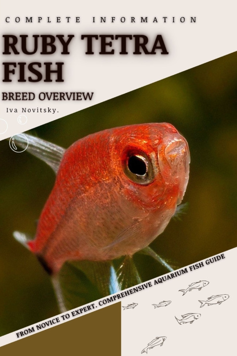 Kniha Ruby Tetra Fish Iva Novitsky