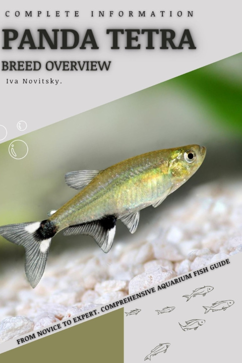 Kniha Panda Tetra Iva Novitsky