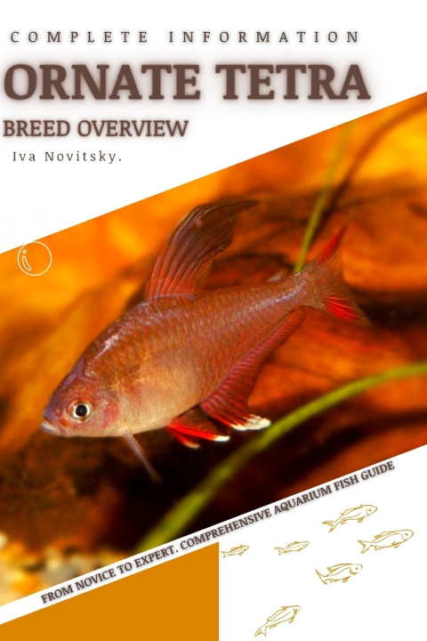 Kniha Ornate Tetra Iva Novitsky
