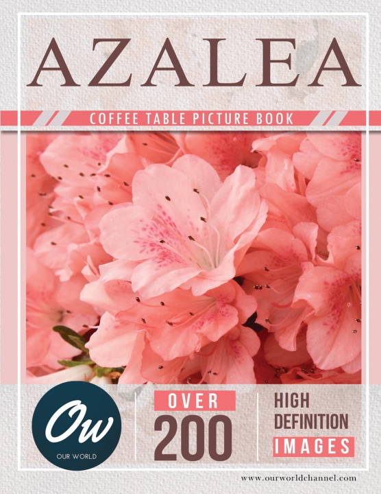 Kniha Azalea A Arelt