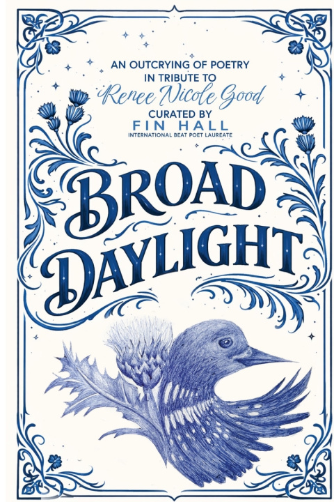 Kniha Broad Daylight Bridie Breen