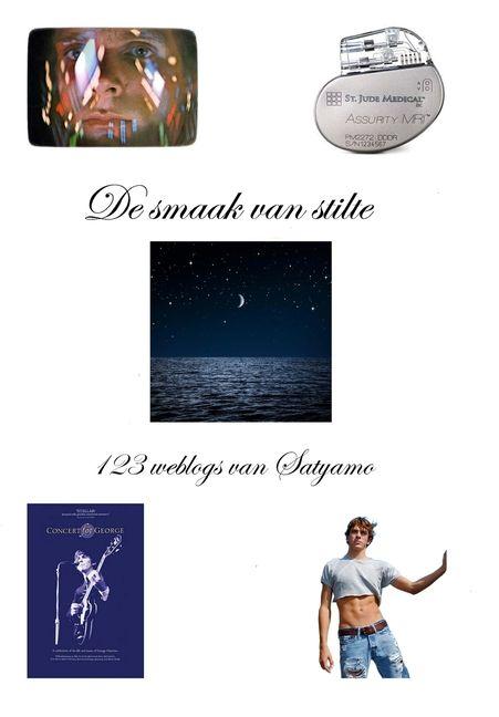 Kniha De smaak van stilte Satyamo Uyldert