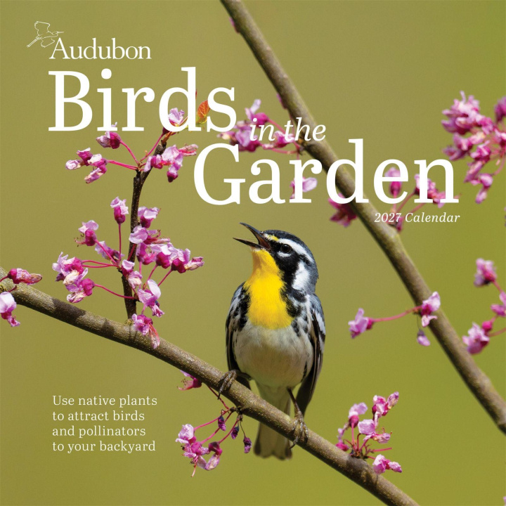Kalendář/Diář Audubon Birds in the Garden Wall Calendar 2027 National Audubon Society
