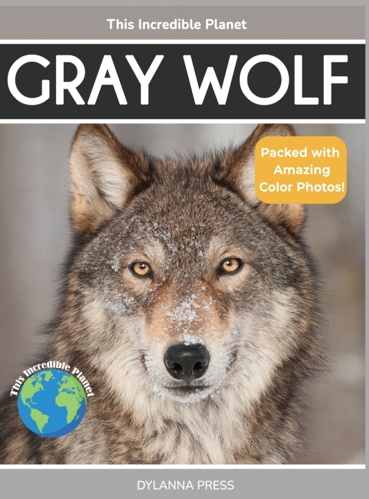 Kniha Gray Wolf Tyler Grady