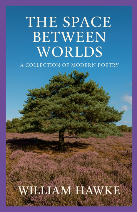 Knjiga The Space Between Worlds William Hawke