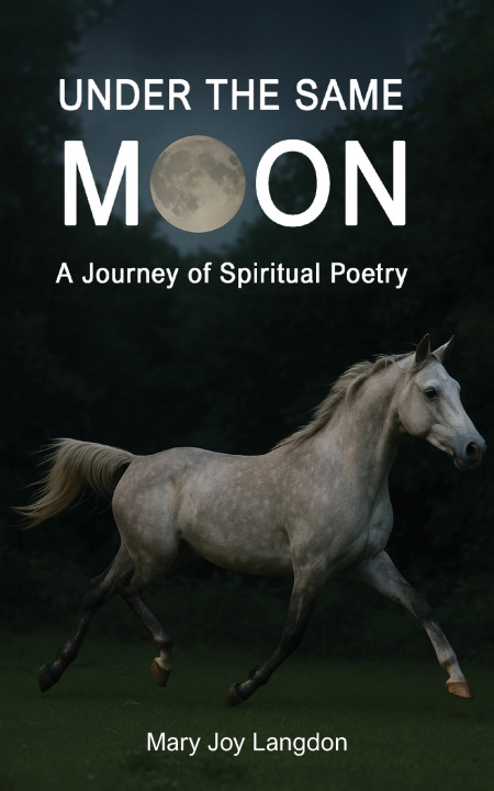 Kniha Under the Same Moon Mary Joy Langdon