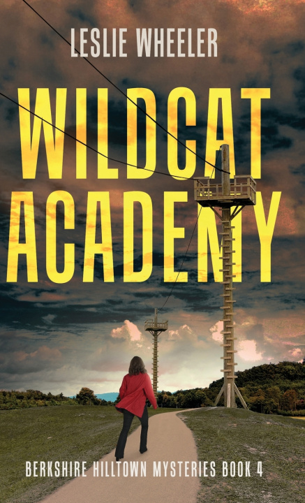 Kniha Wildcat Academy Leslie Wheeler