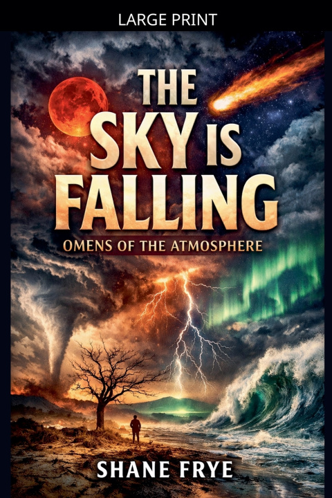 Kniha The Sky is Falling Shane Frye