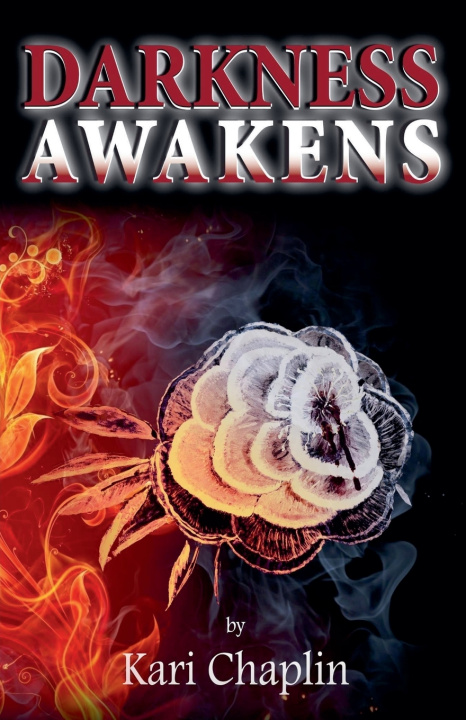 Kniha Darkness Awakens Kari Chaplin