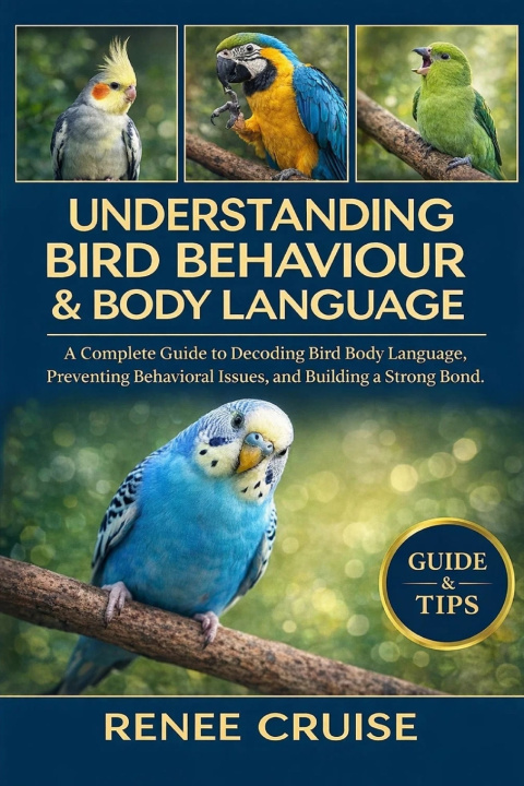 Kniha UNDERSTANDING BIRD BEHAVIOUR & BODY LANGUAGE RENEE CRUISE