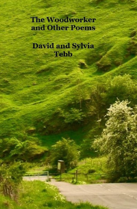 Kniha The Woodworker and Other Poems Sylvia Tebb
