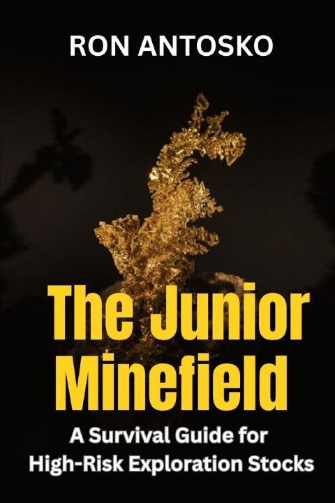 Kniha The Junior Minefield Ron Antosko