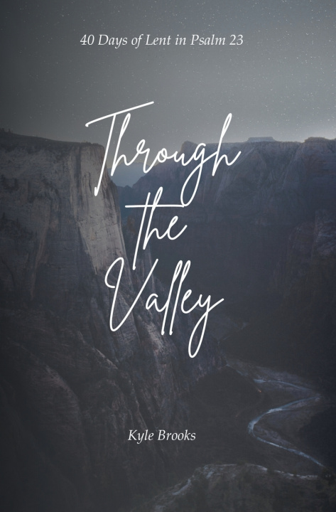 Kniha Through the Valley Kyle Brooks
