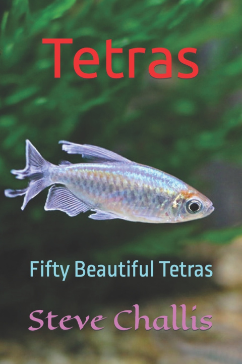 Kniha Tetras Steve Challis