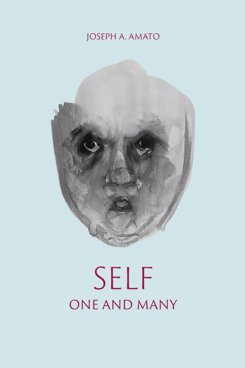 Kniha Self, One and Many Wendy J Johnson