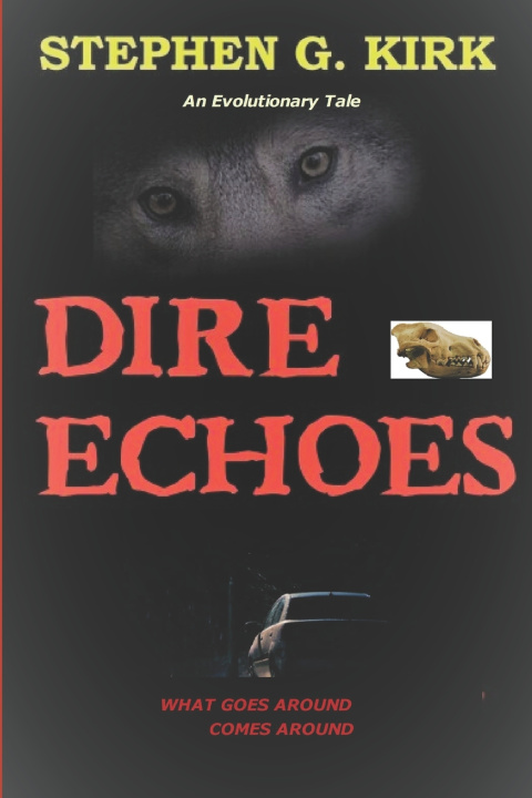 Kniha Dire Echoes Stephen G. Kirk