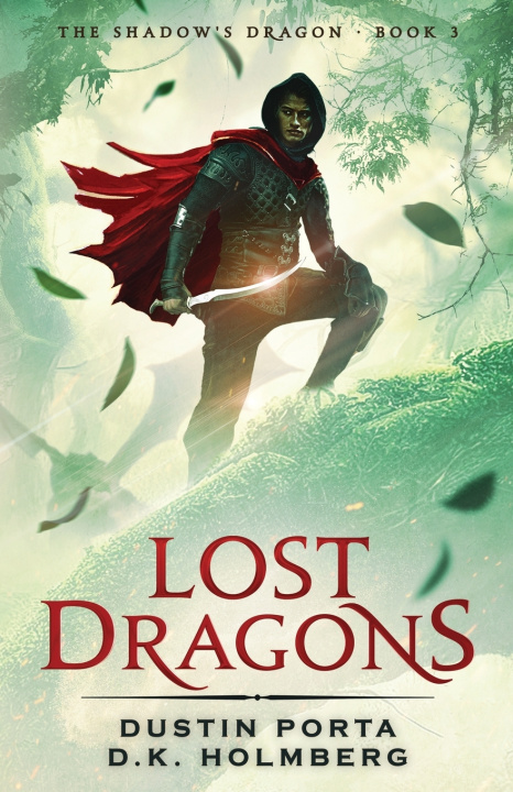 Kniha Lost Dragons D.K. Holmberg