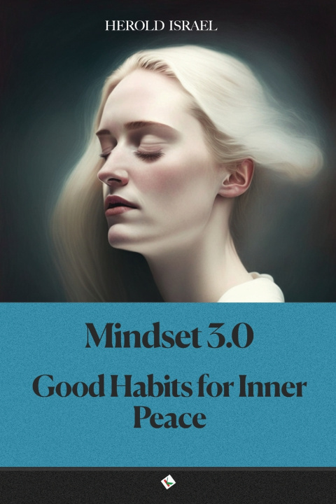Kniha Mindset 3.0 Hérold Israel
