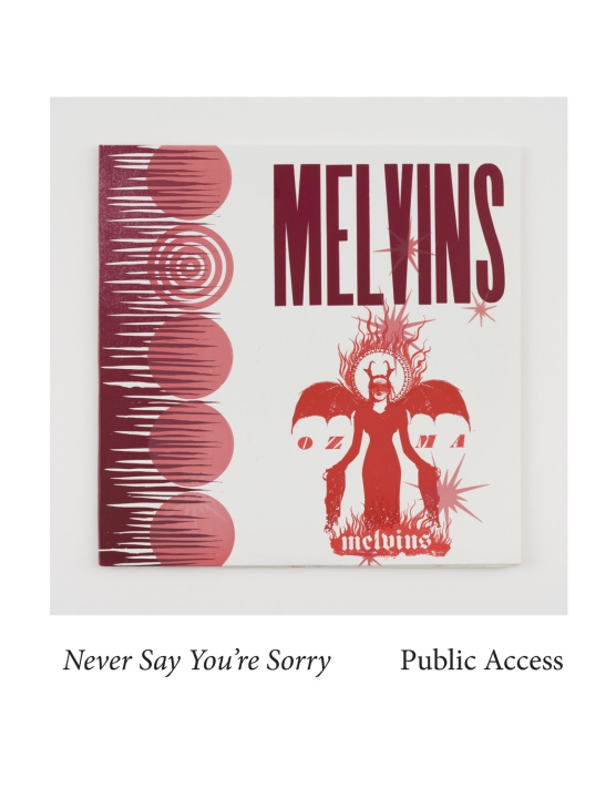 Kniha Melvins Bob Nickas