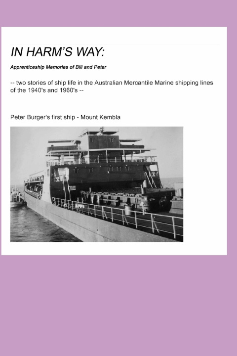Boek In Harm's Way Peter Burger