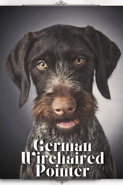 Kniha German Wirehaired Pointer Nina Pustova