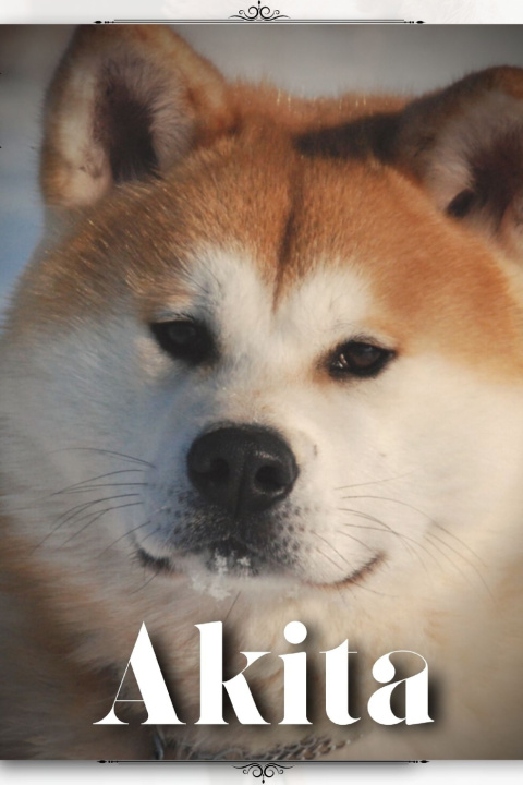 Kniha Akita Nina Pustova