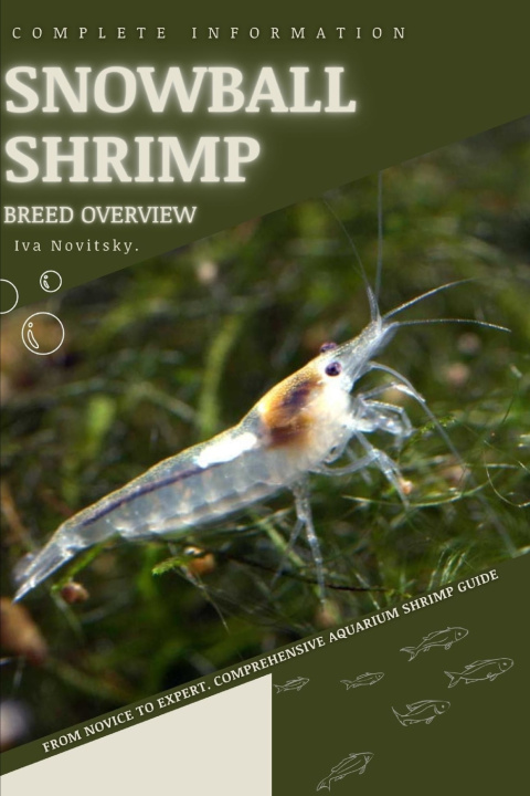 Kniha Snowball Shrimp Iva Novitsky