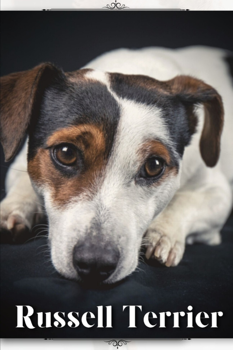 Kniha Russell Terrier Nina Pustova
