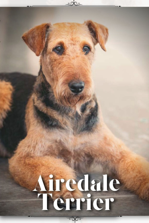 Kniha Airedale Terrier Nina Pustova