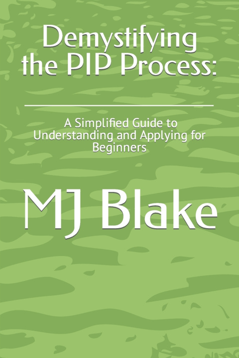 Kniha Demystifying the PIP Process MJ Blake