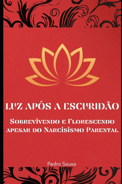 Kniha Luz após a Escuridão Pedro Sousa