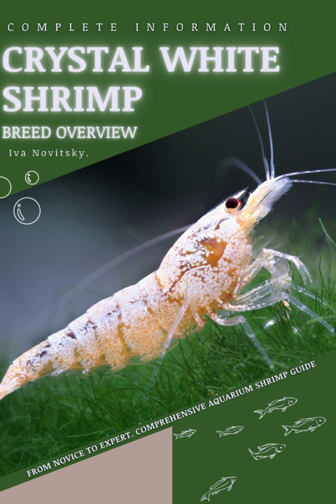 Kniha Crystal White Shrimp Iva Novitsky