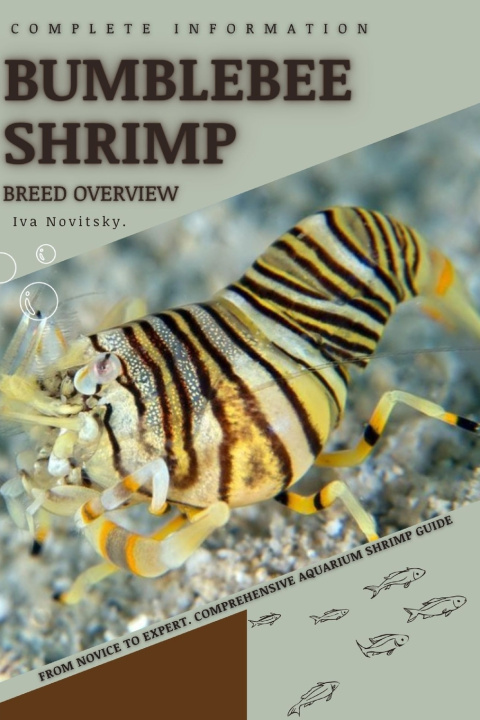 Kniha Bumblebee Shrimp Iva Novitsky