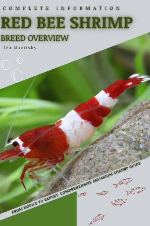 Kniha Red Bee Shrimp Iva Novitsky