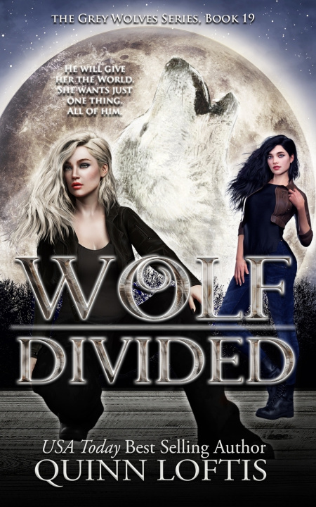 Kniha Wolf Divided Quinn Loftis