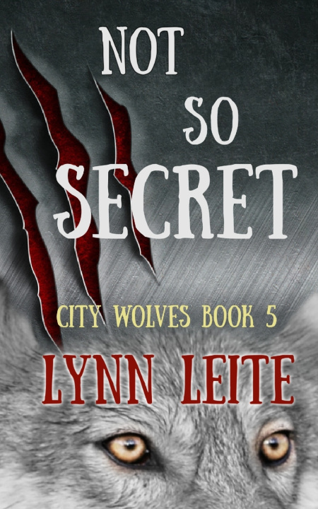 Kniha Not So Secret Lynn Leite