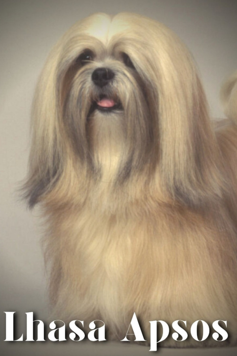 Kniha Lhasa Apsos Nina Pustova