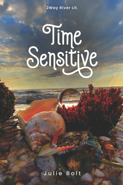 Kniha Time Sensitive Julie Bolt