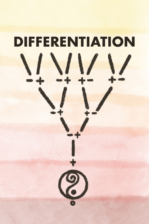 Knjiga DIFFERENTIATION go
