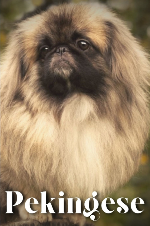 Knjiga Pekingese Nina Pustova